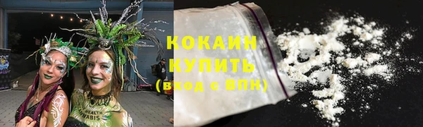 прущие крисы Кулебаки