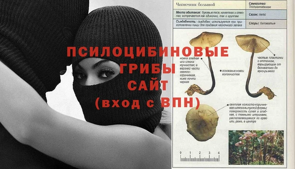 ПСИЛОЦИБИНОВЫЕ ГРИБЫ Алексин